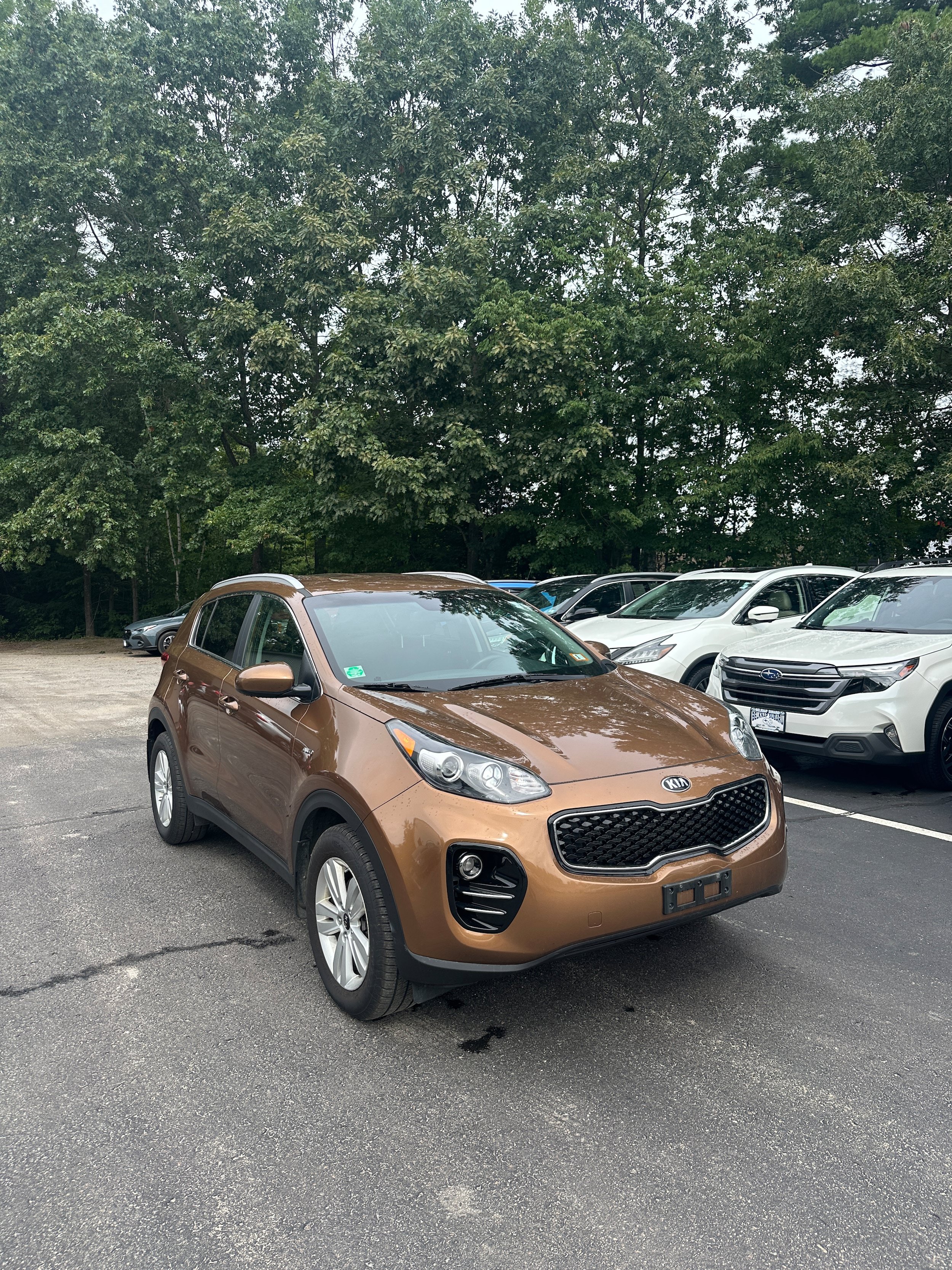 Used 2019 Kia Sportage LX w/ LX Popular Package AWD/4WD image 3