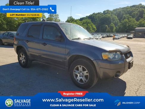 Used 2005 Ford Escape XLT AWD/4WD image 5