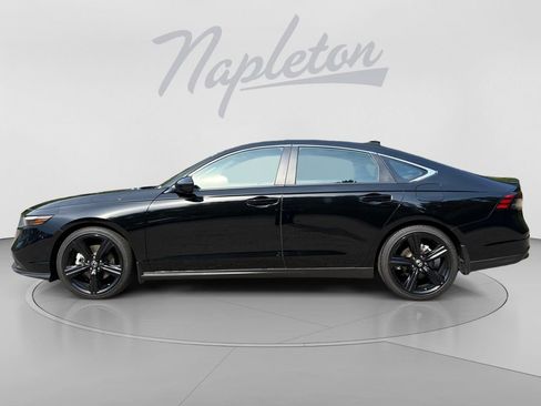 Used 2025 Honda Accord Sport image 4