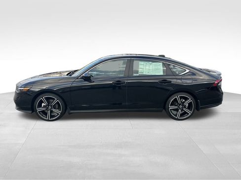 Used 2025 Honda Accord Sport image 2