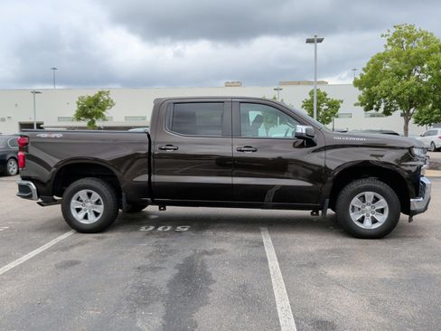 Used 2019 Chevrolet Silverado 1500 LT w/ All-Star Edition image 6