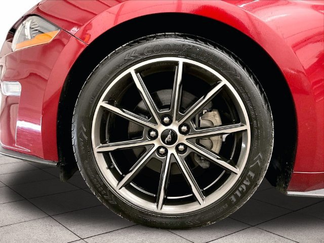 Used 2019 Ford Mustang Premium w/ Equipment Group 201A RWD image 8
