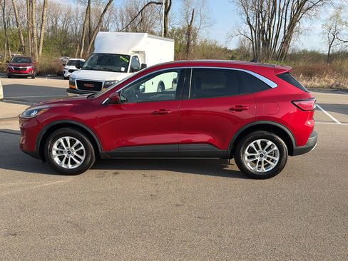 Used 2020 Ford Escape SE AWD/4WD image 2