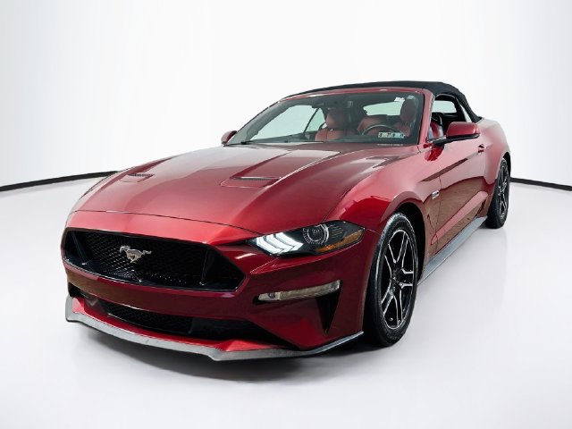 Used 2019 Ford Mustang GT Premium w/ Equipment Group 401A RWD image 3