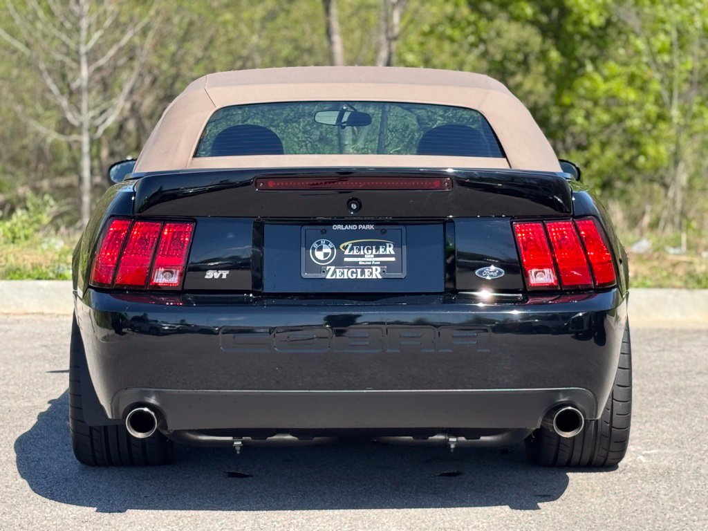 Used 2003 Ford Mustang Cobra RWD image 5