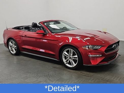 Used 2021 Ford Mustang Premium w/ Equipment Group 201A RWD image 2