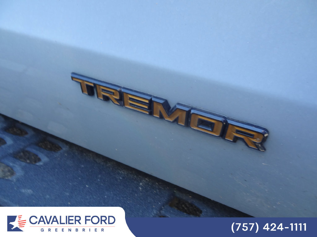 Used 2026 Ford Expedition Tremor AWD/4WD image 16