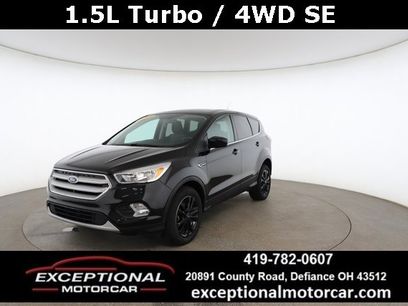 Used 2019 Ford Escape SE
