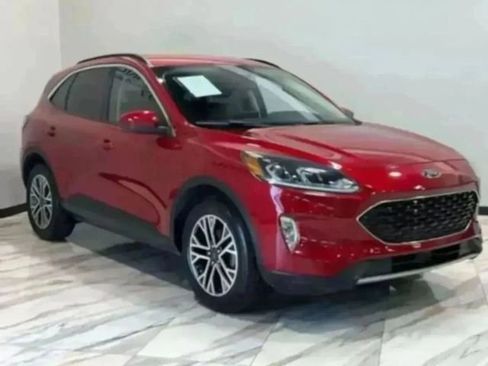 Used 2020 Ford Escape SEL image 4