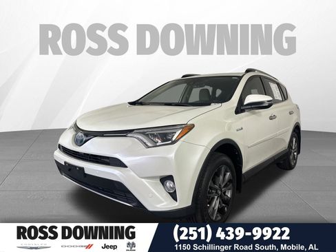 Used 2017 Toyota RAV4 Limited w/ All Weather Liner Package image 1