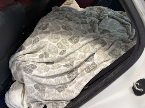 Used 2025 Lexus NX 350h AWD w/ Cold Area Package image 4