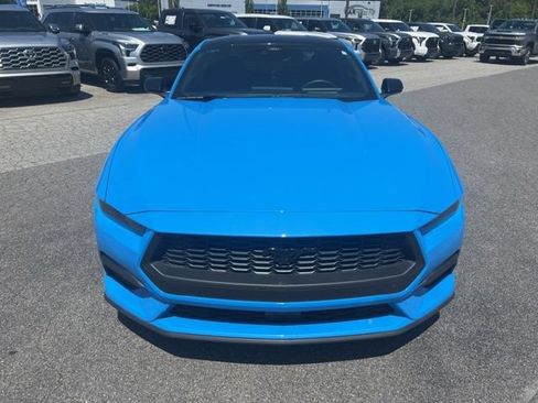 Used 2025 Ford Mustang Coupe w/ Mustang Nite Pony Package RWD image 2