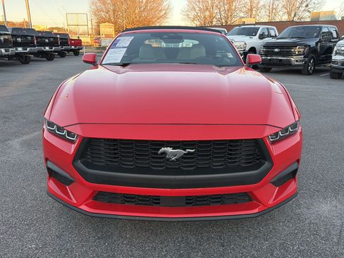 Used 2024 Ford Mustang Premium image 3