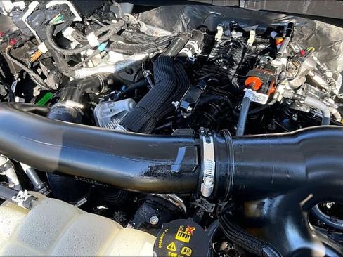 Used 2025 Ford F150 XLT w/ Equipment Group 301A Standard AWD/4WD image 31