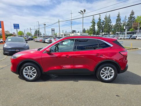 Used 2020 Ford Escape SE AWD/4WD image 5