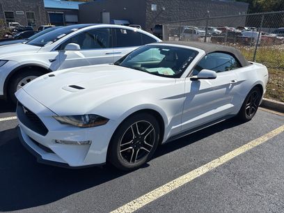 Used 2019 Ford Mustang Premium