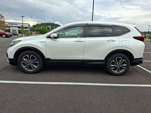 Used 2020 Honda CR-V EX-L image 4