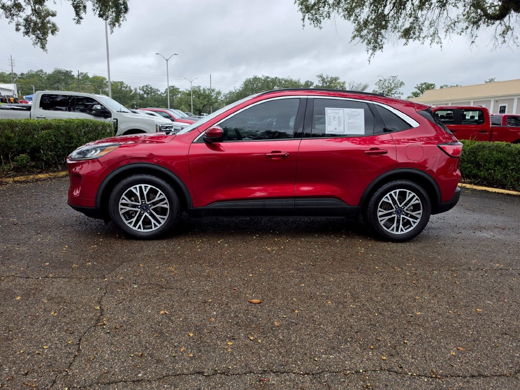 Used 2020 Ford Escape SEL FWD image 2