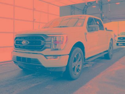 Certified 2022 Ford F150 XLT w/ Equipment Group 302A High