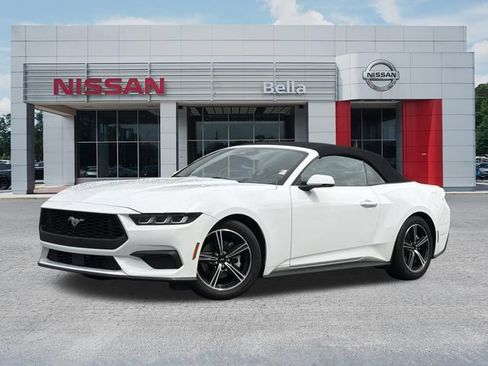 Used 2024 Ford Mustang Premium RWD image 1