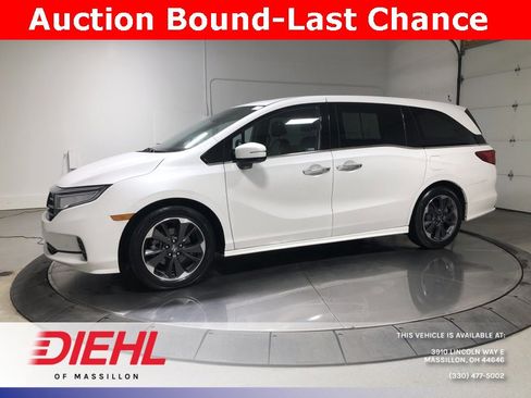 Used 2023 Honda Odyssey Elite image 4