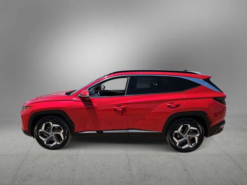 Used 2023 Hyundai Tucson Limited AWD/4WD image 5