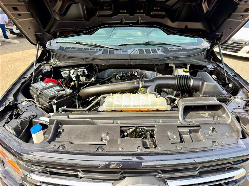 Used 2025 Ford F150 XLT w/ Equipment Group 301A Standard AWD/4WD image 8
