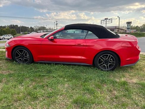 Used 2019 Ford Mustang Premium image 11