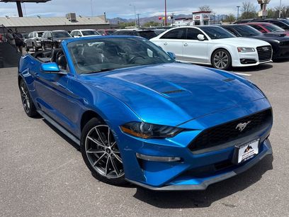 Used 2019 Ford Mustang Premium w/ Equipment Group 201A
