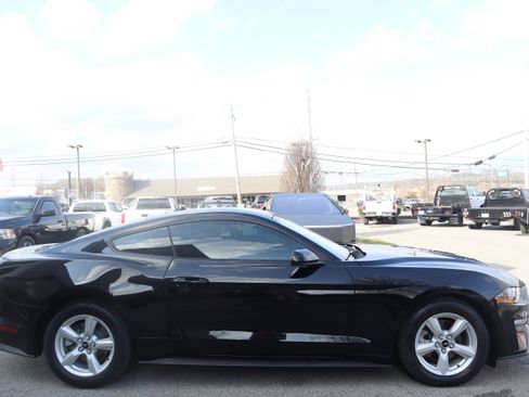 Used 2019 Ford Mustang Coupe image 5