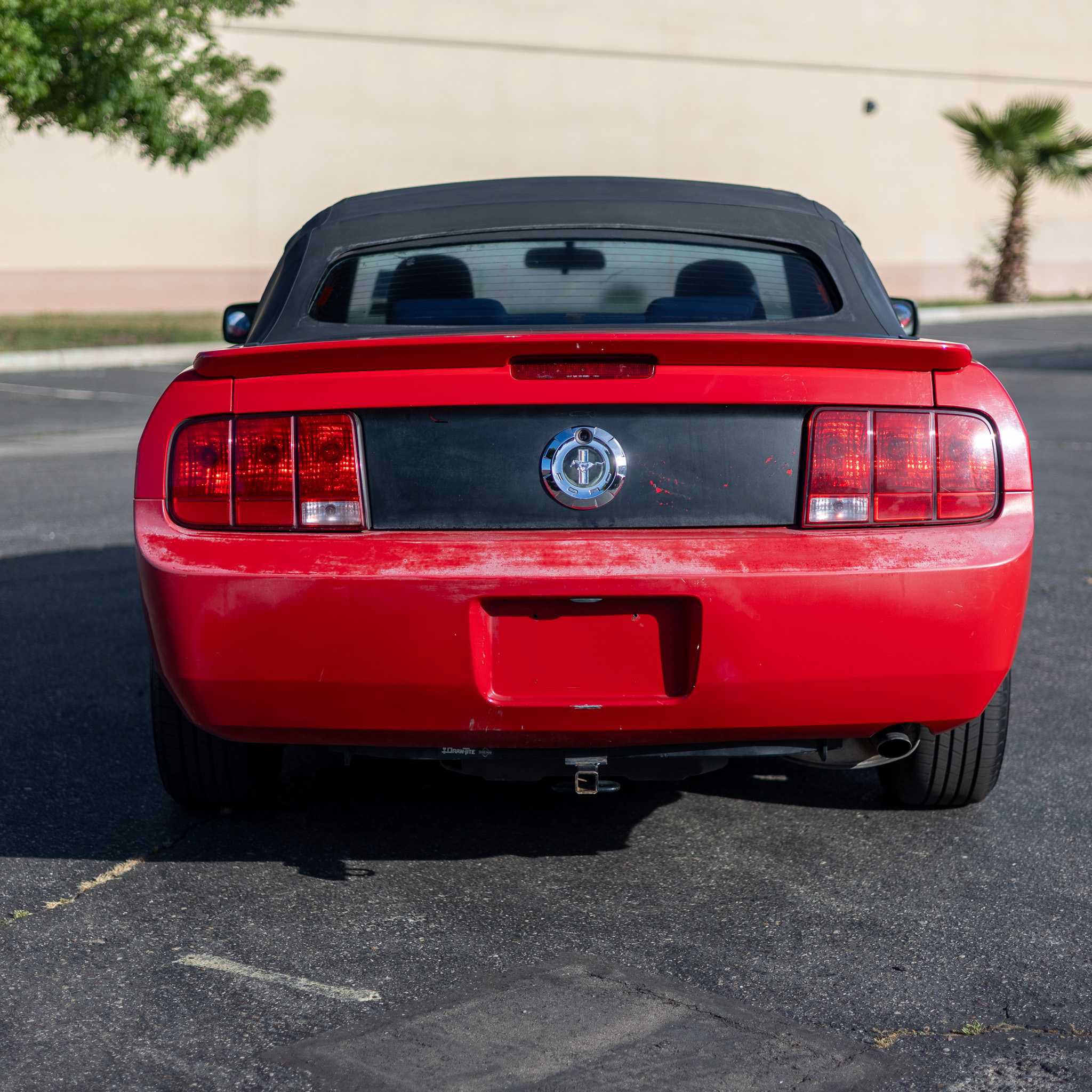 Used 2009 Ford Mustang Premium RWD image 6