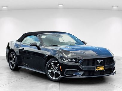 Used 2024 Ford Mustang Premium