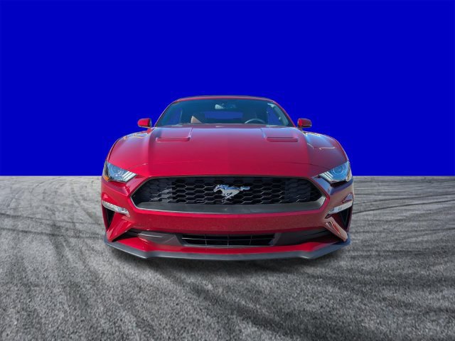 Used 2018 Ford Mustang Premium RWD image 9