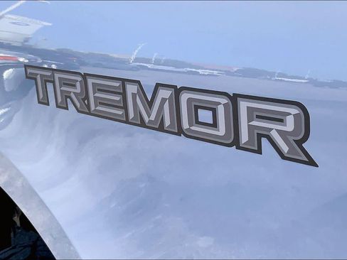 Used 2025 Ford F250 Platinum w/ Tremor Off-Road Package AWD/4WD image 10
