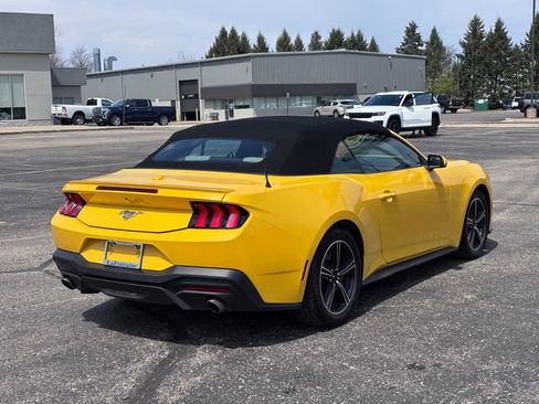 Used 2024 Ford Mustang Premium image 5