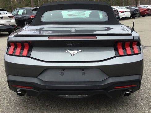 Used 2024 Ford Mustang Premium image 4