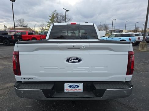 New 2025 Ford F150 XLT w/ Equipment Group 302A MID image 4