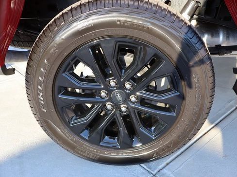 Used 2025 Ford F150 XLT w/ Equipment Group 302A MID image 50