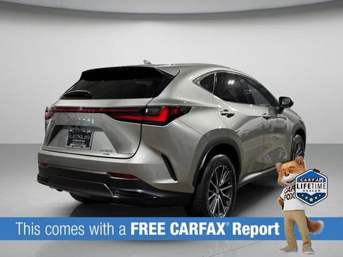 Used 2025 Lexus NX 250 AWD image 5