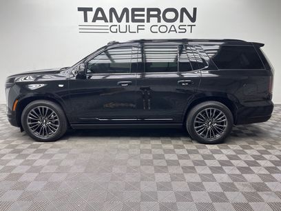 Used 2025 Cadillac Escalade Sport Platinum