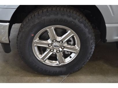 New 2025 Ford F150 XLT w/ Equipment Group 301A Standard