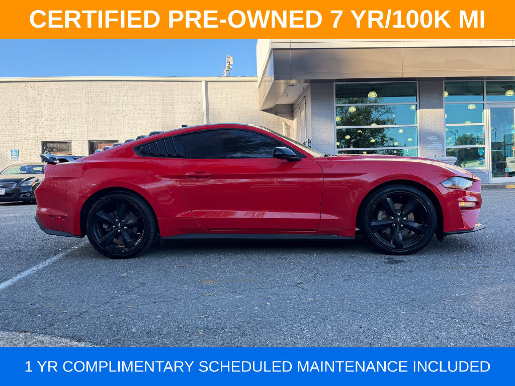 Used 2023 Ford Mustang Coupe w/ Mustang Nite Pony Package RWD image 6