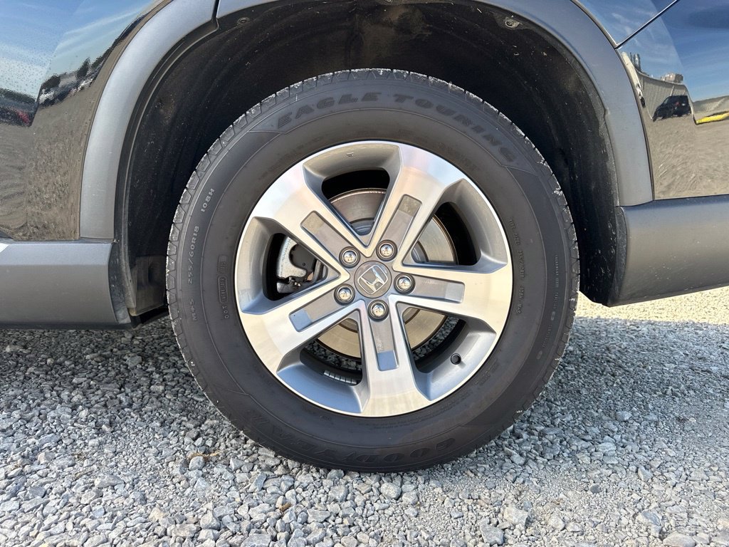 Used 2025 Honda Pilot EX-L image 6