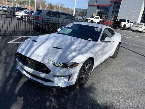 Used 2023 Ford Mustang EcoBoost w/ Equipment Group 101A image 4