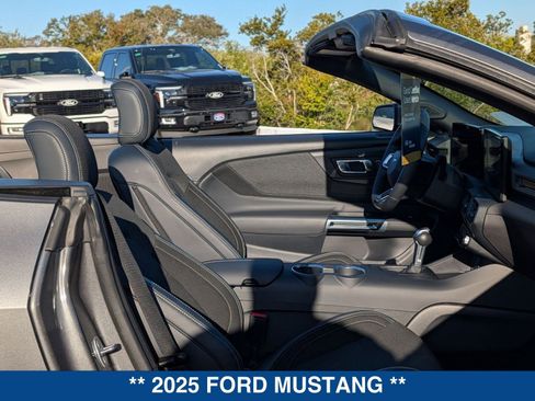 Certified 2025 Ford Mustang EcoBoost image 13