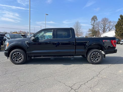 Used 2023 Ford F150 XLT w/ Equipment Group 302A High image 2