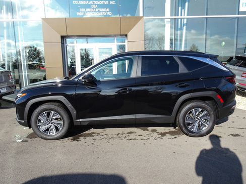 New 2024 Hyundai Tucson Blue image 2