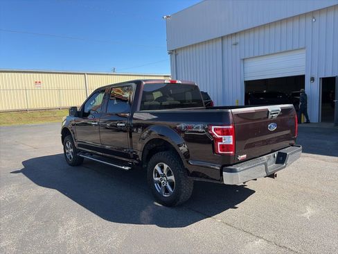 Used 2019 Ford F150 XLT w/ Equipment Group 302A Luxury image 5