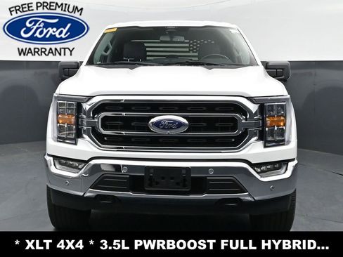 Used 2022 Ford F150 XLT w/ Equipment Group 302A High image 2