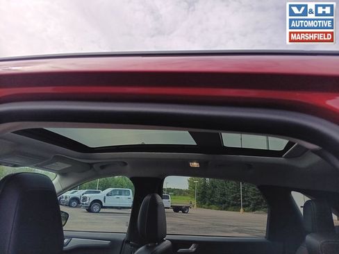 Used 2023 Ford Escape Platinum w/ Premium Technology Package AWD/4WD image 6